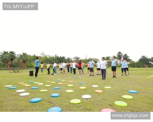 飞盘灵活性大比拼北京飞盘队荣登榜首引发热议